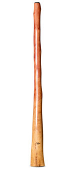 Tristan O'Meara Didgeridoo (TM382)